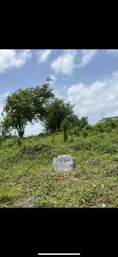 Land Clearance
