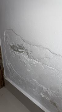 Inspección y eliminación de moho