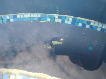 Pool Repair