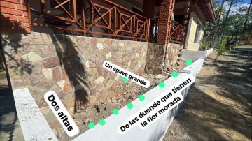Gardener - Home Improvements