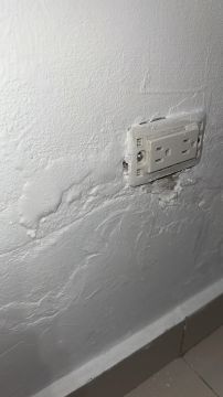 Experto en eliminación de moho - Servicios Domésticos