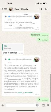 Carpintero de armarios