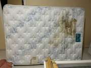 Upholstery and Furniture Cleaner