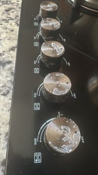 Mold Inspection and Removal