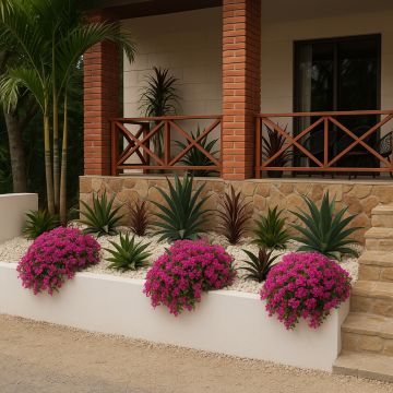Gardening - Lawncare