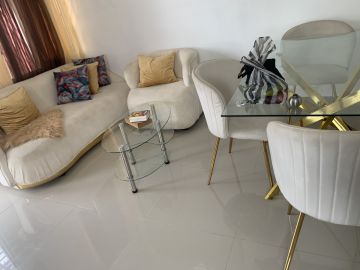 Upholstery and Furniture Cleaner