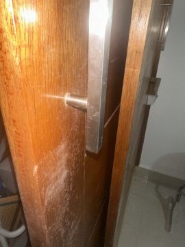 Mold Removal Expert - Domestic Services
