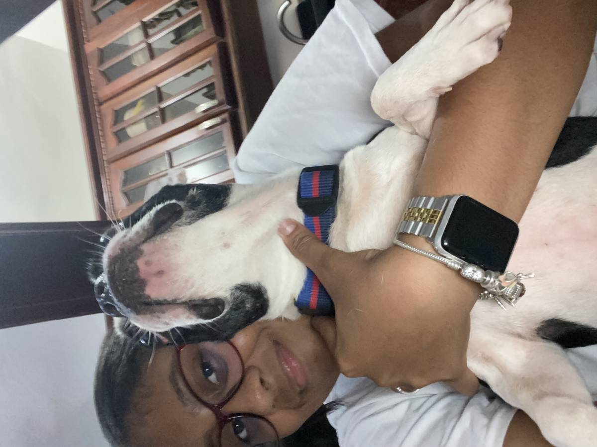 Rosa Angela Adames Rosado - Santo Domingo Este - Dog Walking