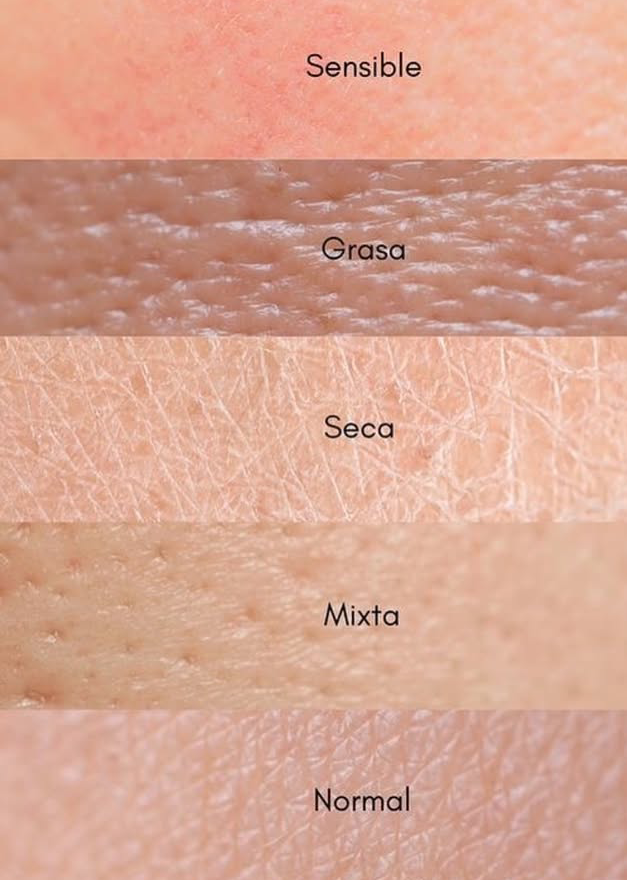Academia de estetica cosmi laura - Santo Domingo de Guzmán - Skill