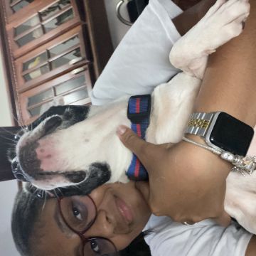 Rosa Angela Adames Rosado - Santo Domingo Este - Dog Walking