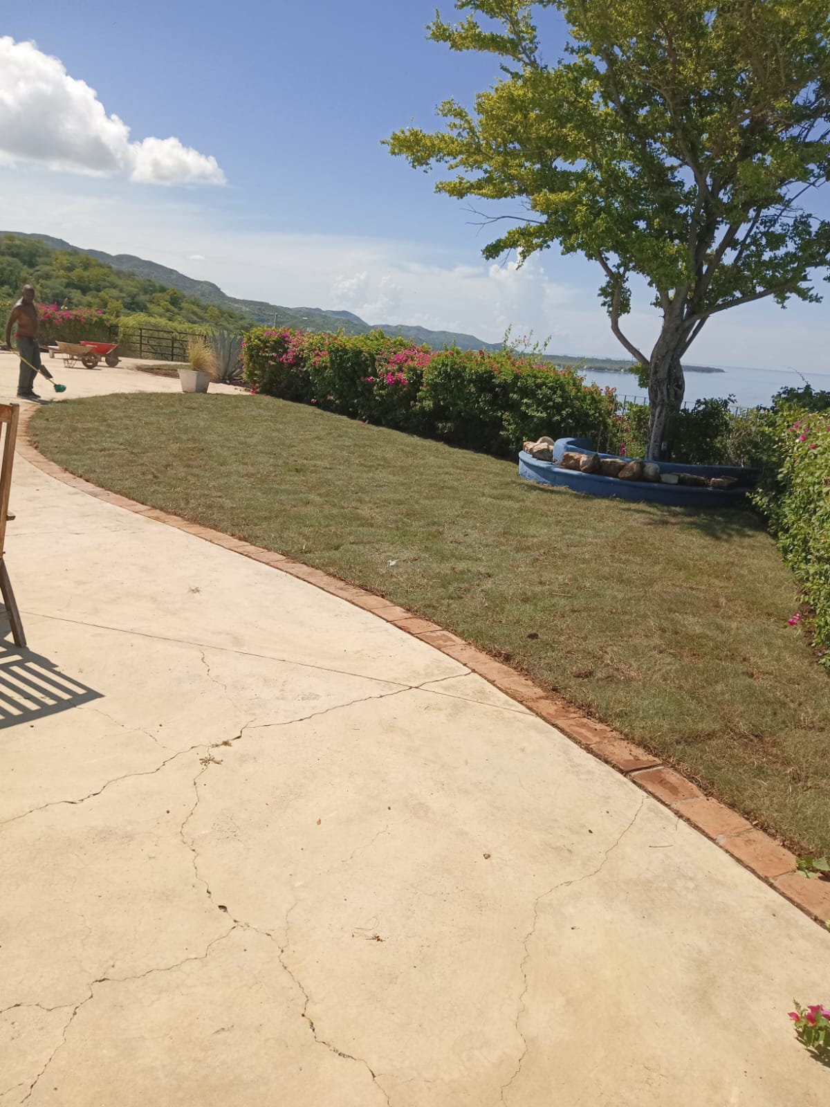 JarDina - Santo Domingo de Guzmán - Trituración y eliminación de tocones