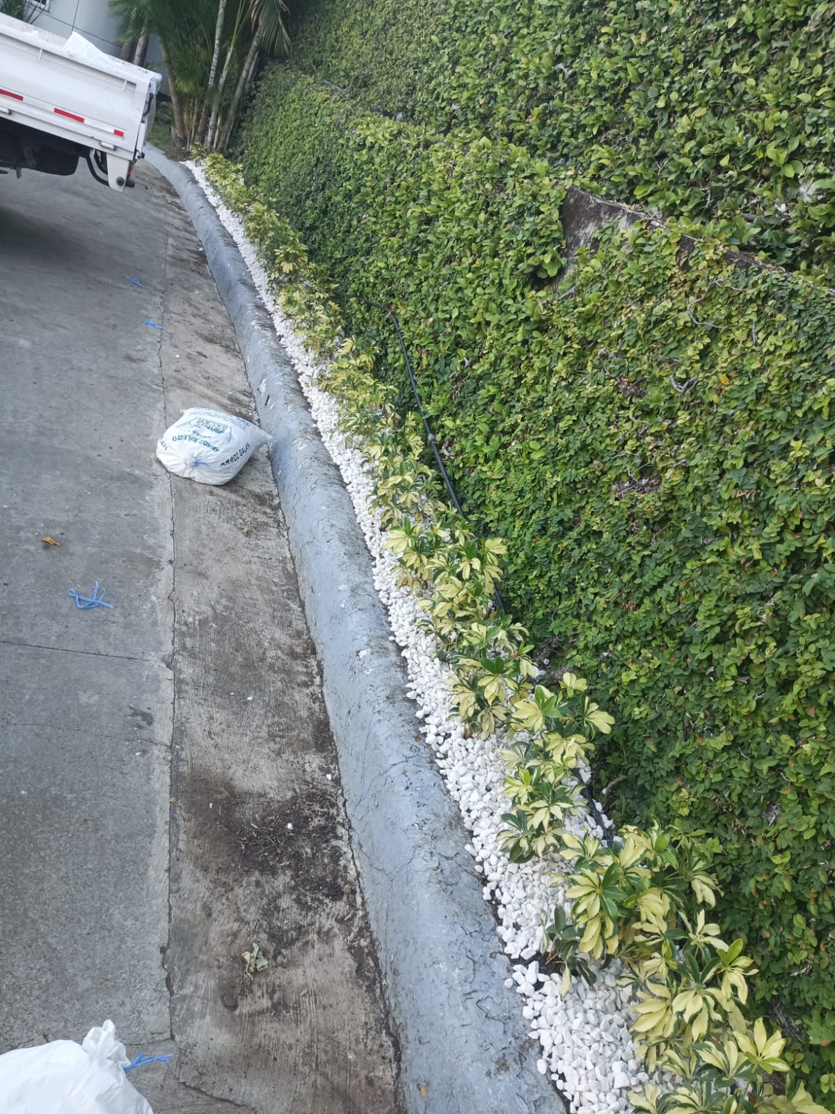 JarDina - Santo Domingo de Guzmán - Instalación de césped artificial