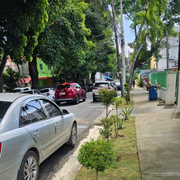 JarDina - Santo Domingo de Guzmán - Eliminación de arbustos