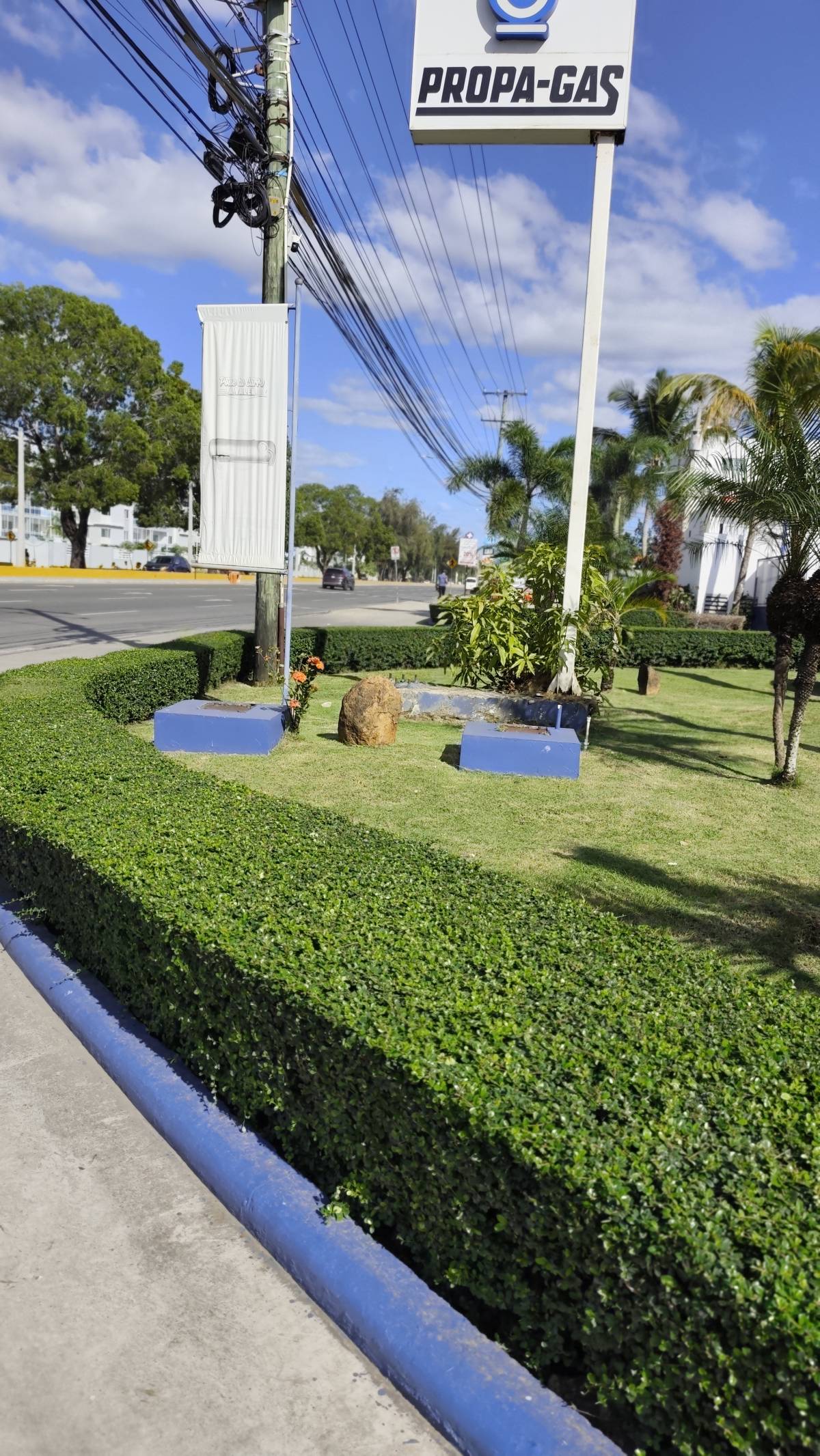 Garden clean Fernando Brito SRL - Baní - Eliminación de arbustos