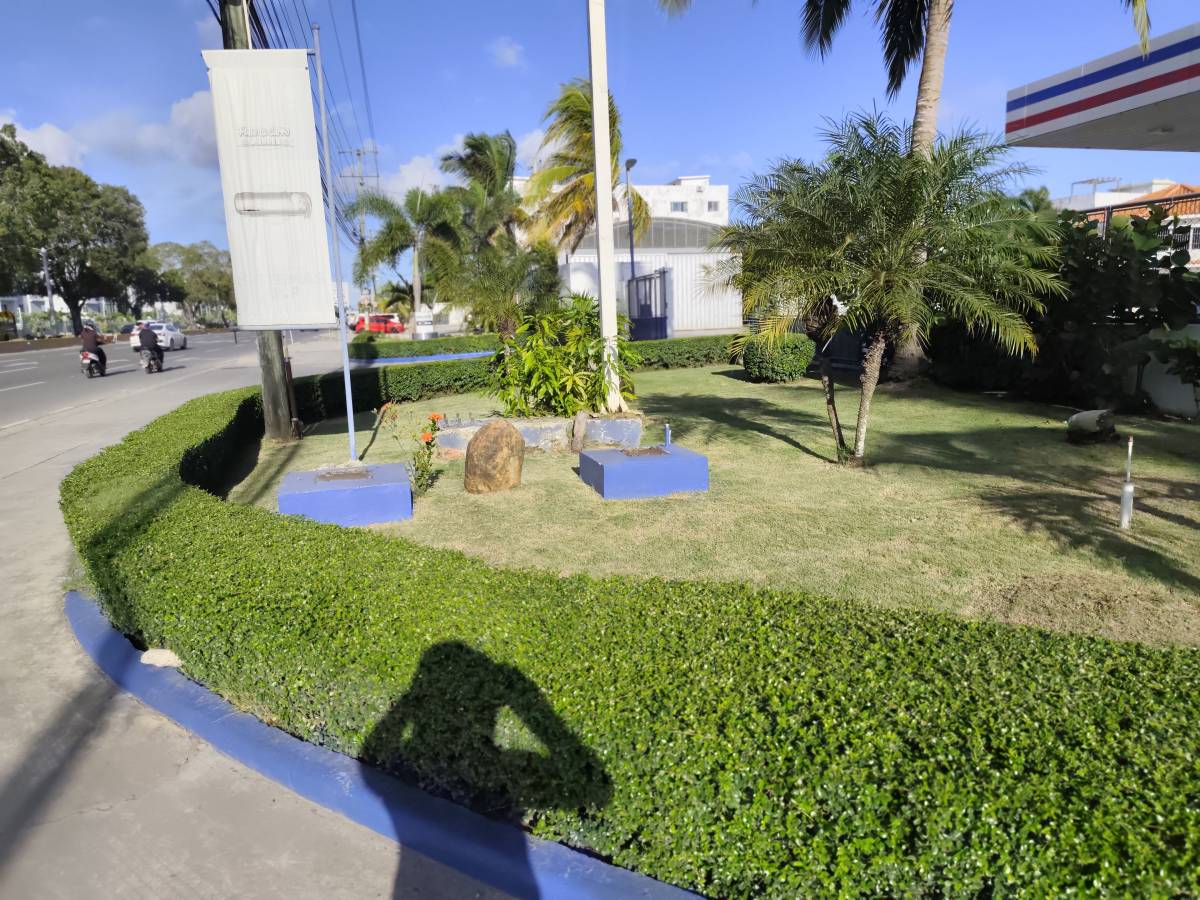 Garden clean Fernando Brito SRL - Baní - Poda y mantenimiento de árboles