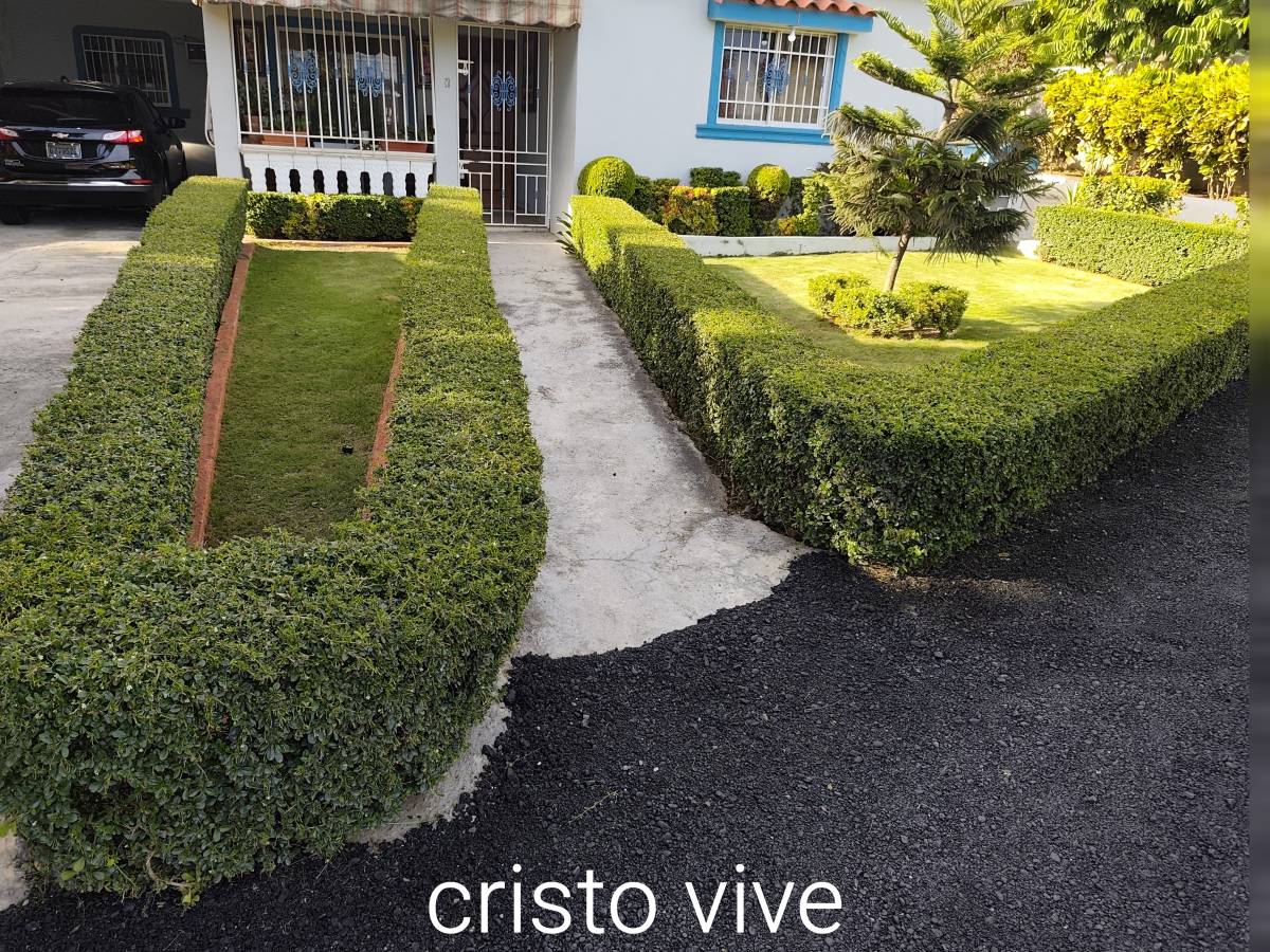 Garden clean Fernando Brito SRL - Baní - Servicios de invernadero