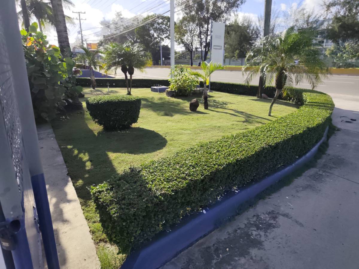 Garden clean Fernando Brito SRL - Baní - Siembra