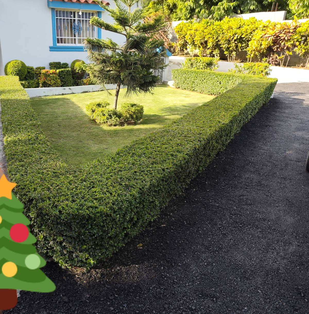 Garden clean Fernando Brito SRL - Baní - Instalación de césped artificial