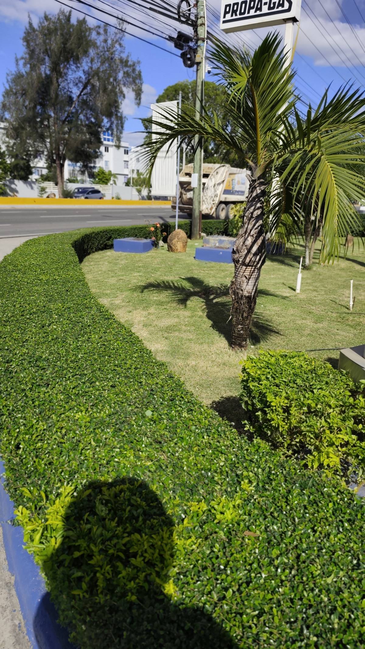 Garden clean Fernando Brito SRL - Baní - Trituración y eliminación de tocones