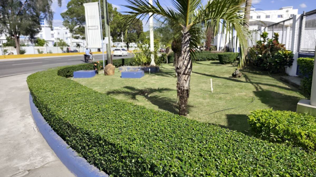 Garden clean Fernando Brito SRL - Baní - Servicios de control de plagas