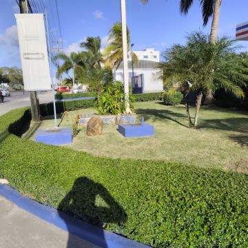 Garden clean Fernando Brito SRL - Baní - Poda y mantenimiento de árboles