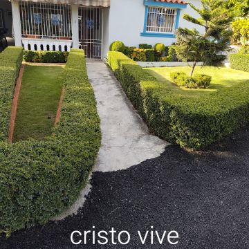 Garden clean Fernando Brito SRL - Baní - Servicios de invernadero