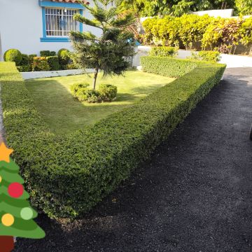 Garden clean Fernando Brito SRL - Baní - Instalación de césped artificial