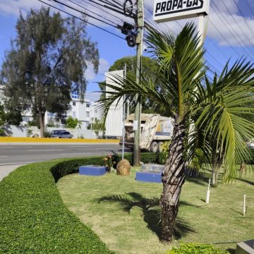 Garden clean Fernando Brito SRL - Baní - Trituración y eliminación de tocones