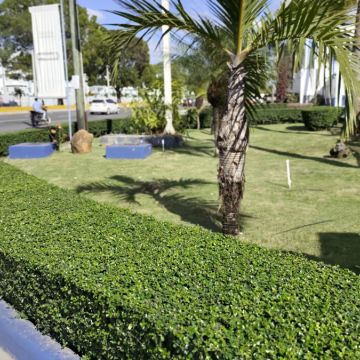 Garden clean Fernando Brito SRL - Baní - Servicios de control de plagas