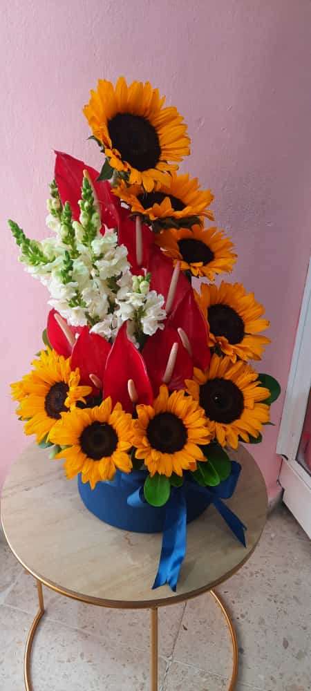 MM party and events - Baní - Florists