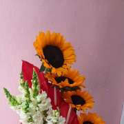 MM party and events - Baní - Florists