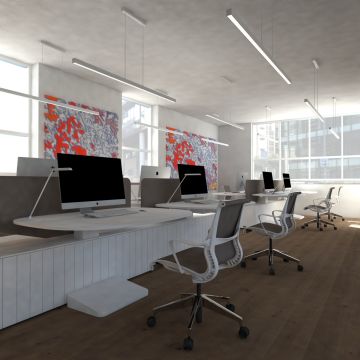 PRISLEIDY MARTINEZ - San Rafael del Yuma - Tree Stump Grinding and Removal