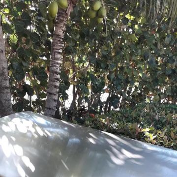 Carlos servios técnicos - Samaná - Fireplace and Chimney Repair