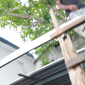 Multi servicios sofia - Bonao - Tree Trimming and Maintenance