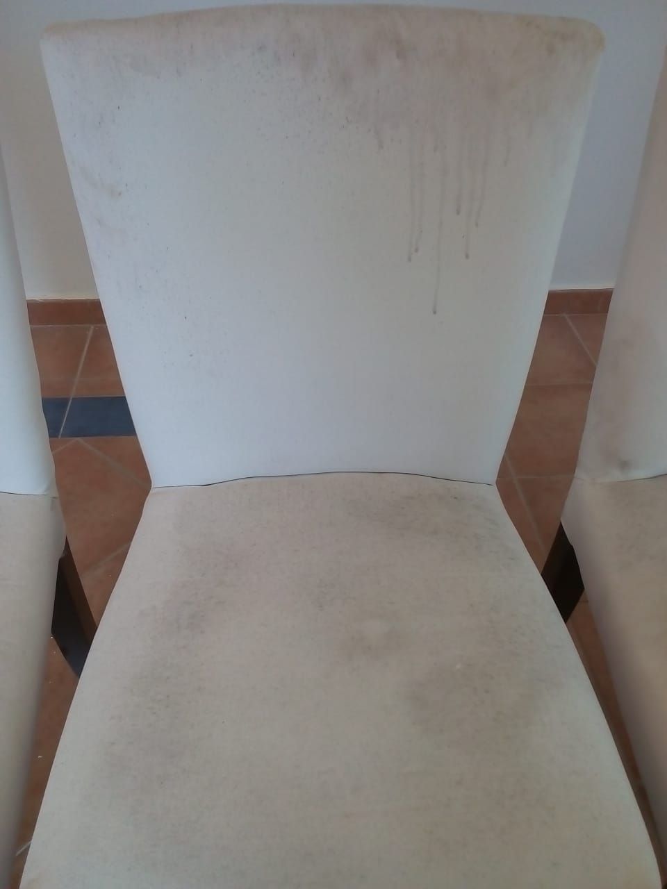 SANET DOMINICANA - El Limón - Upholstery and Furniture Cleaning