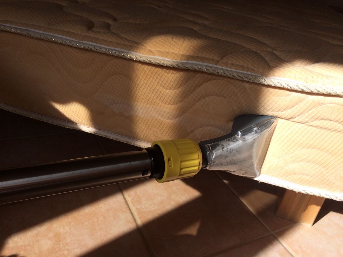 SANET DOMINICANA - El Limón - House Cleaning (Recurring)