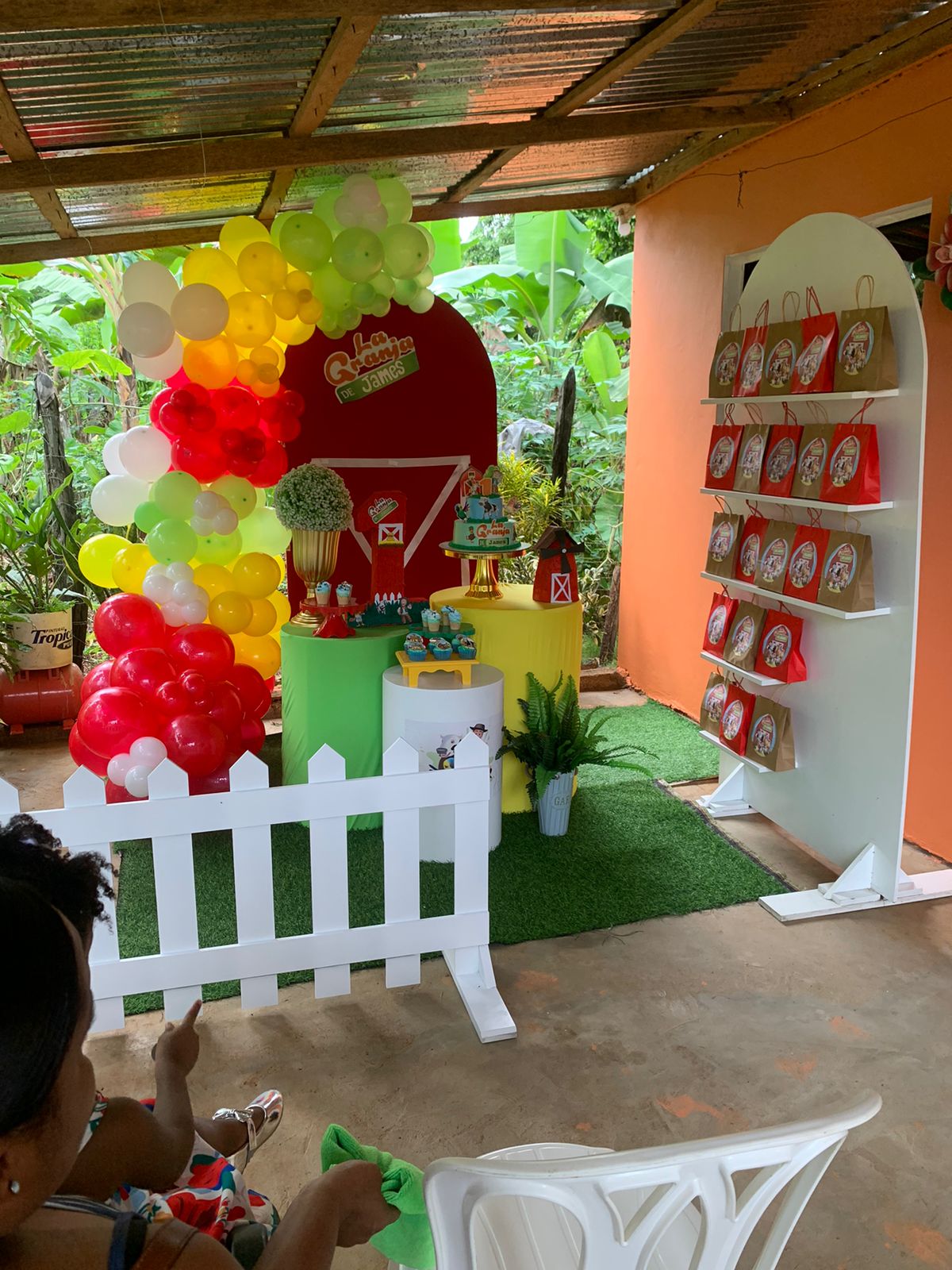 N&R Party - Samaná - Bridal Shower Party Planning