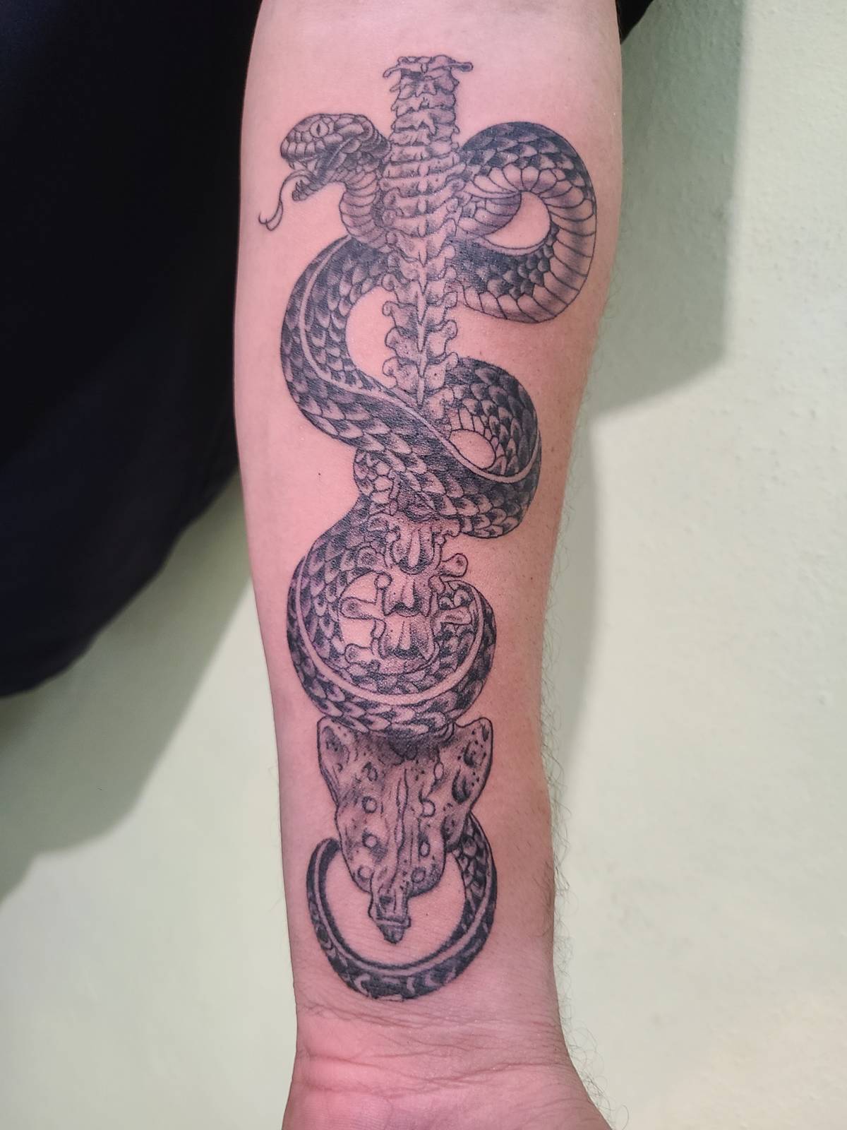 Moments Tattoo - La Romana - Piercing Studios