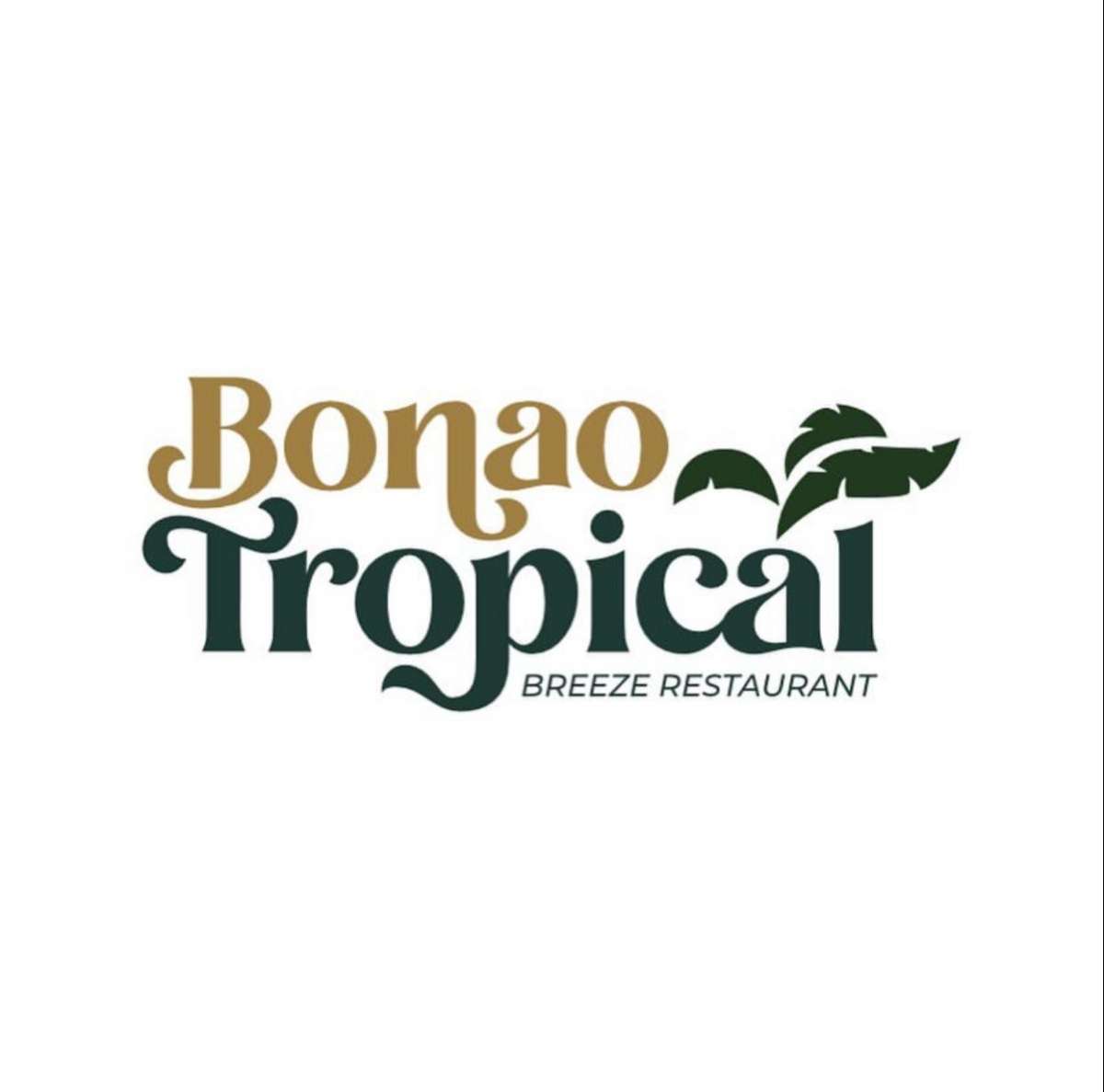 Alberto Henriquez rosario - Baitoa - Logo Design