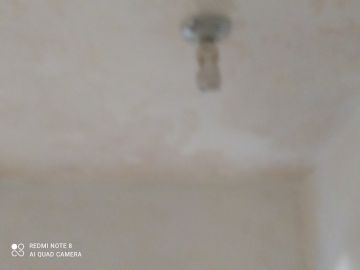 Inspección y eliminación de moho - Limpieza