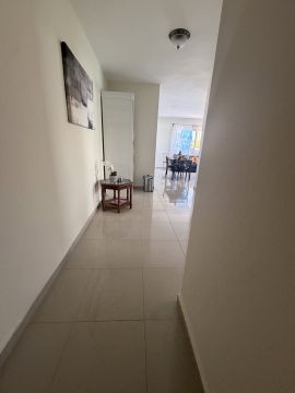 Cleaner - Domestic Services