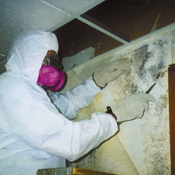 Servicios Profesionales Fima SRL - Verón Punta Cana - Limpieza y restauración de daños causados ​​por el agua