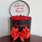 Anyi Decoraciones - Santo Domingo Norte - Audio Equipment Rental for Events