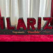 Anyi Decoraciones - Santo Domingo Norte - Video Equipment Rental for Events