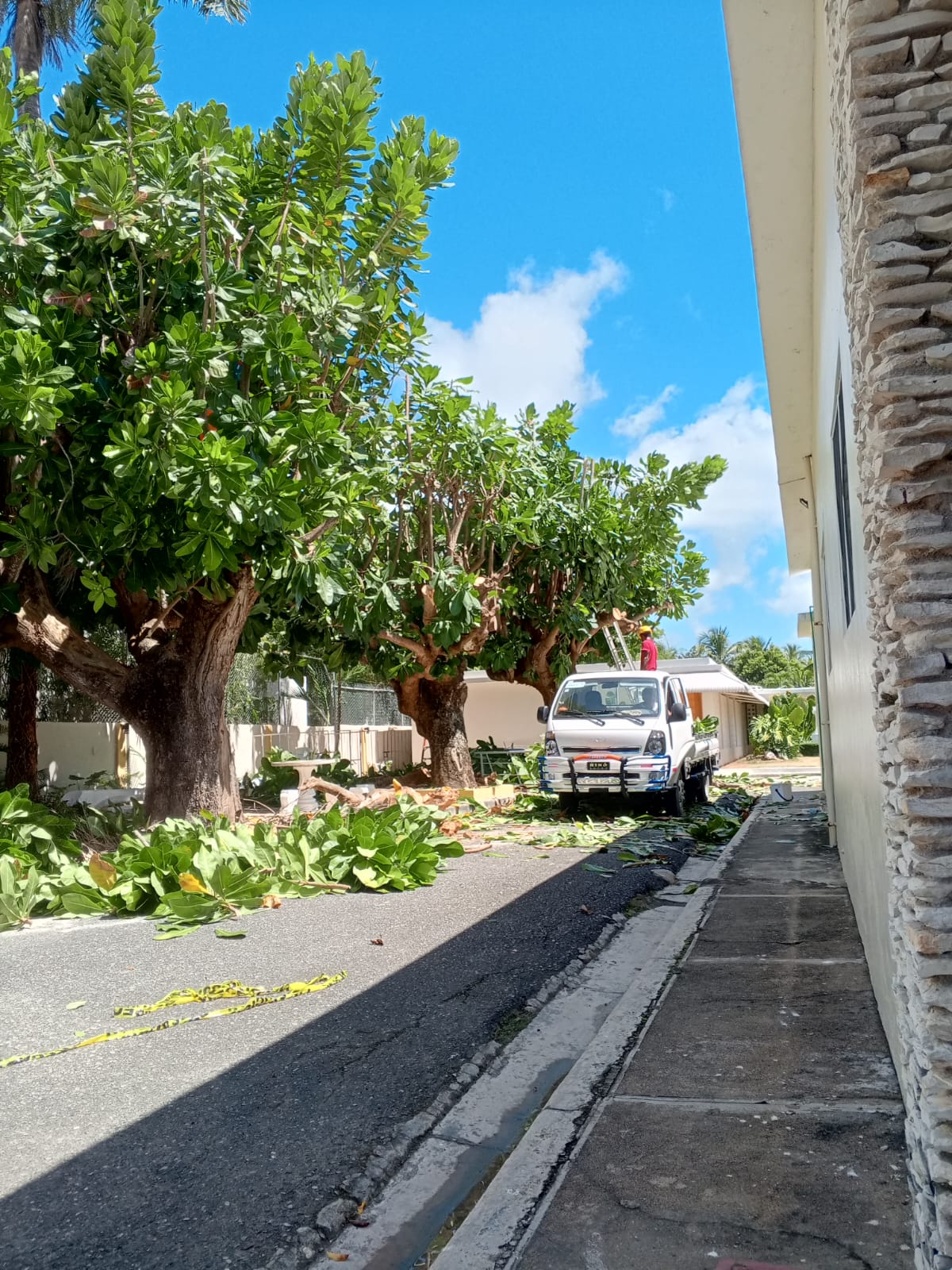 SOLUJVEGEN EIRL - Santo Domingo Norte - House Sitting