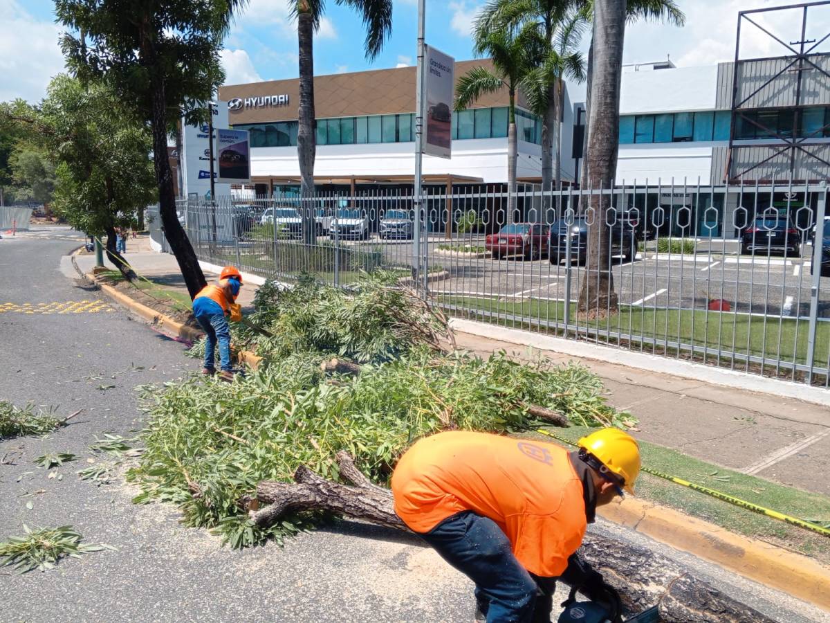 SOLUJVEGEN EIRL - Santo Domingo Norte - Central Air Conditioning Maintenance