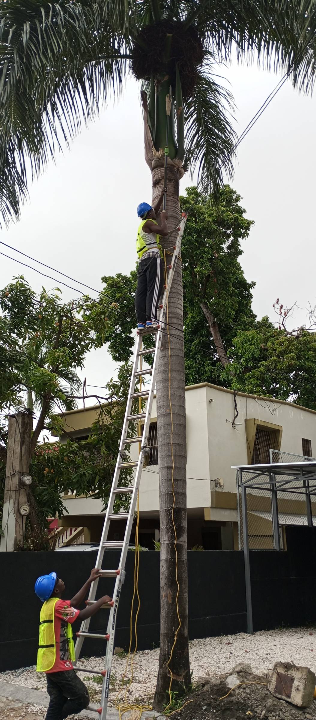 SOLUJVEGEN EIRL - Santo Domingo Norte - Mantenimiento o reparación de fontanería exterior