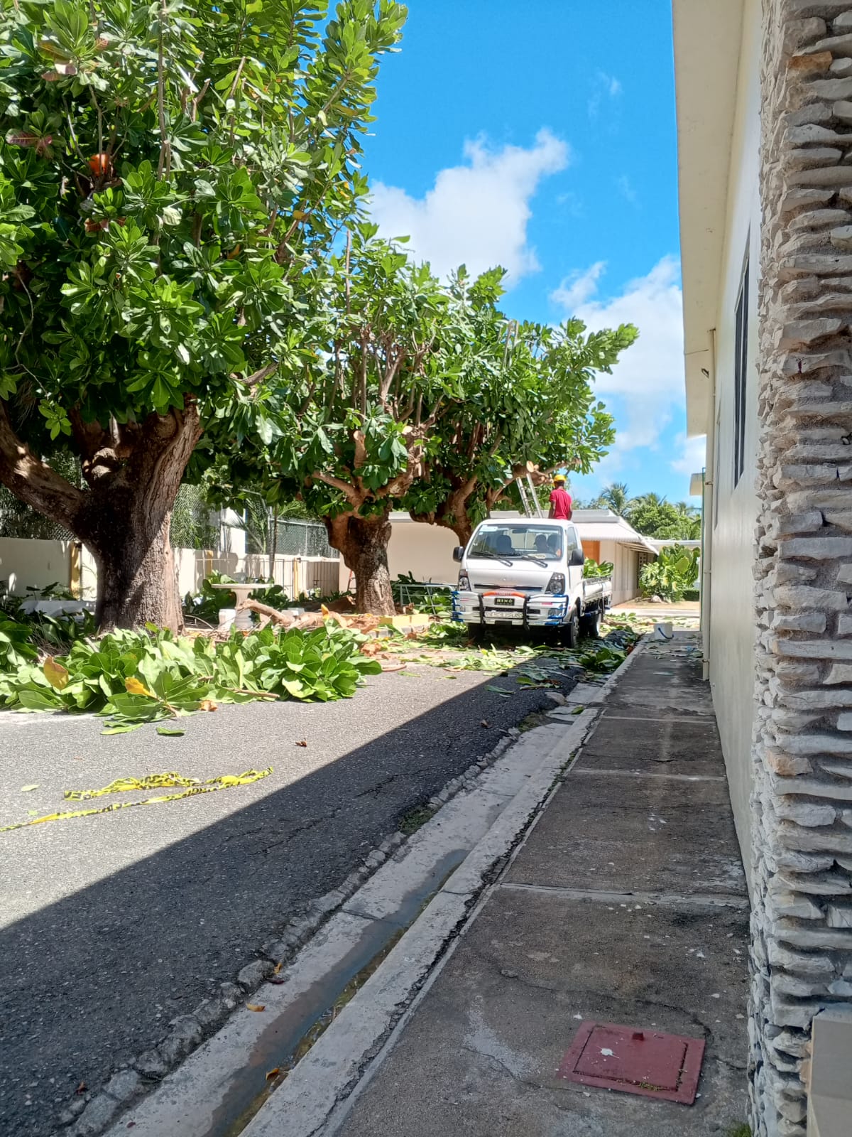 SOLUJVEGEN EIRL - Santo Domingo Norte - Shrub Removal