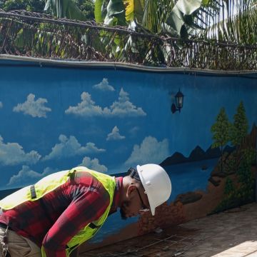SOLUJVEGEN EIRL - Santo Domingo Norte - Pintura de exteriores