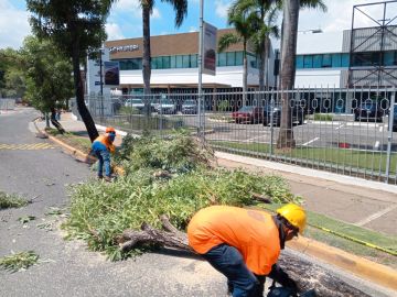 SOLUJVEGEN EIRL - Santo Domingo Norte - Central Air Conditioning Maintenance